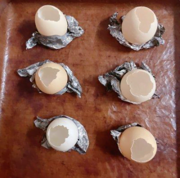 可愛(ài)軟萌的蛋殼小蛋糕，健康有營(yíng)養(yǎng)，小朋友很愛(ài)吃